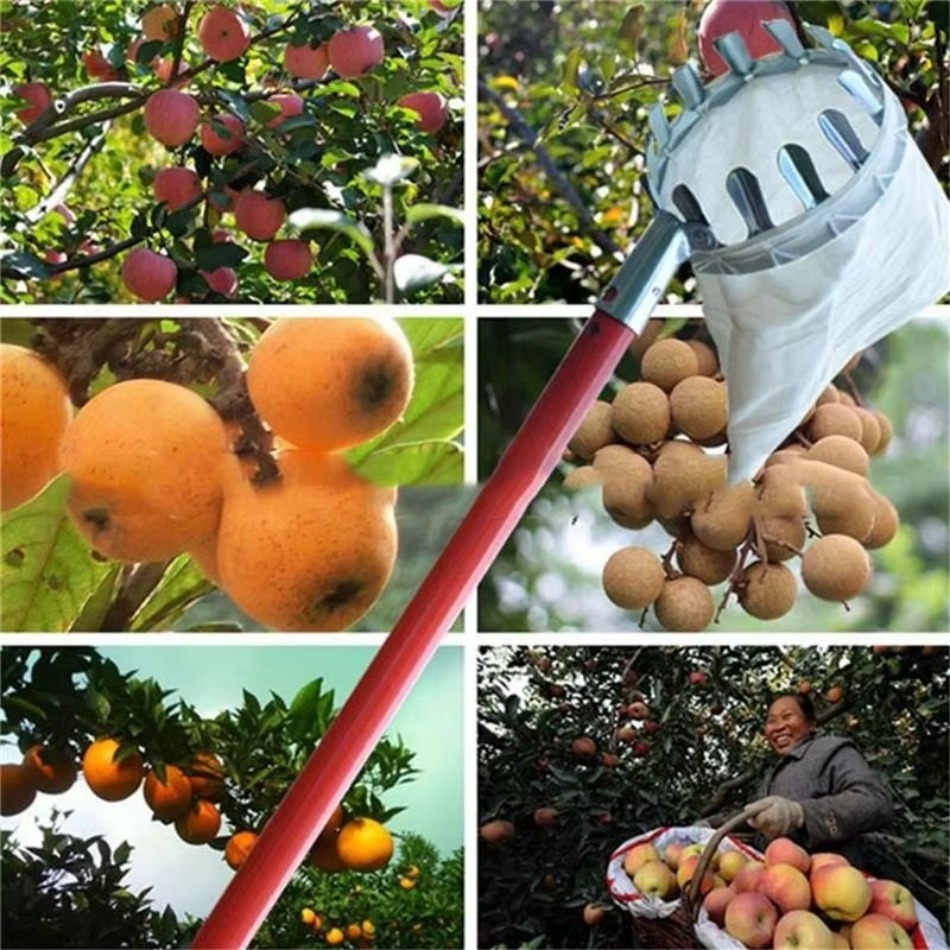 Farming Agriculture Tools - Pemetik Buah Besi Galvanis Teleskopik Serbaguna