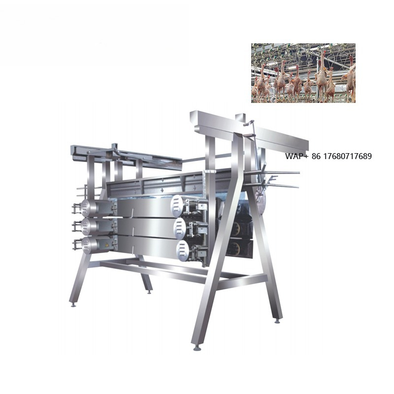 Chicken Plucker Machine - Mesin Pencabut Bulu Ayam Peralatan Pemotongan