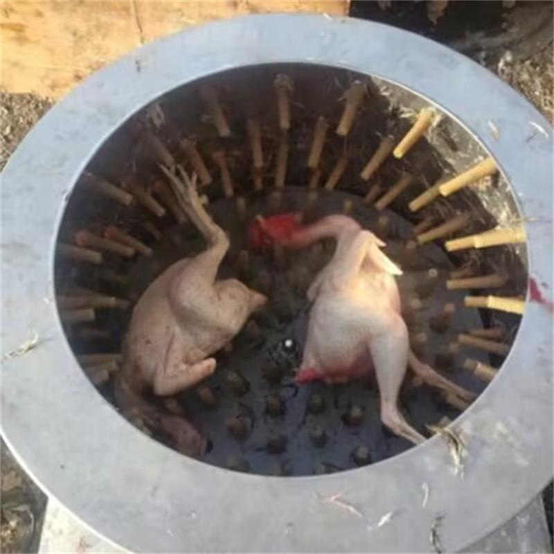 Chicken Plucker Machine - Mesin Pencabut Bulu Burung Puyuh Merpati