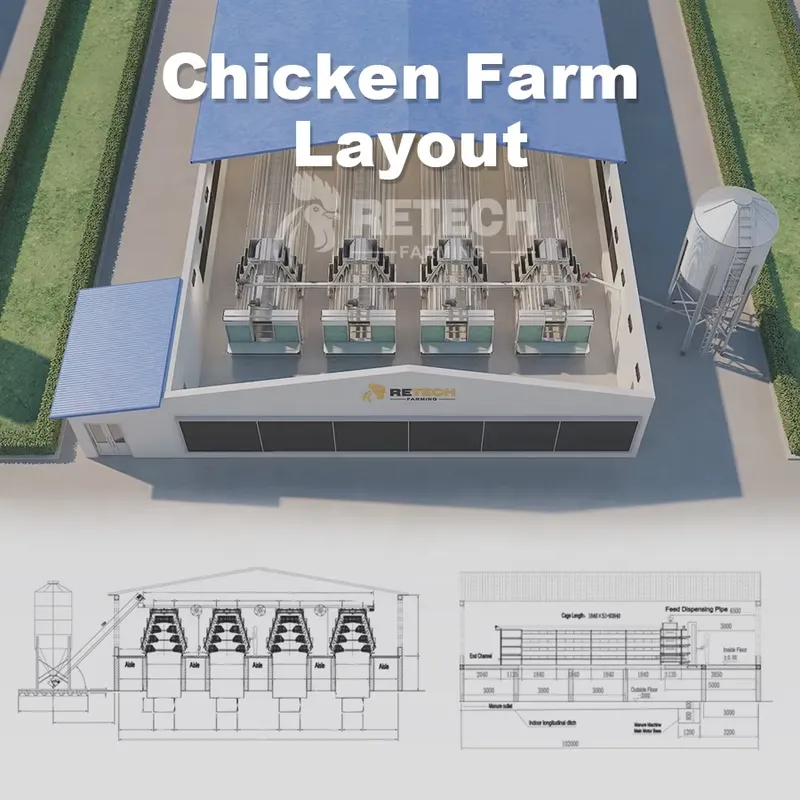 Kandang Ayam Otomatis Tipe A B - Farming Africa ulasan dan harga