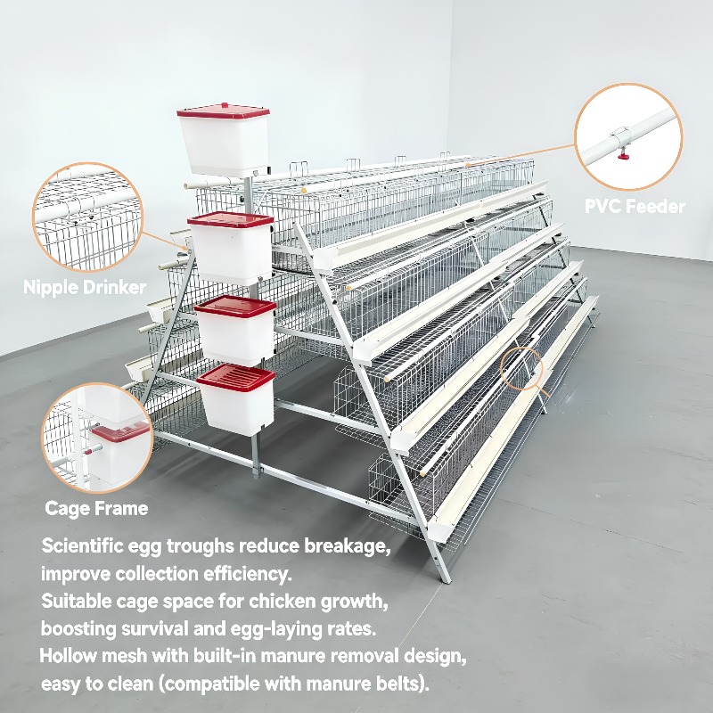   Kandang Ayam New Africa Tipe - Farming Africa ulasan dan harga