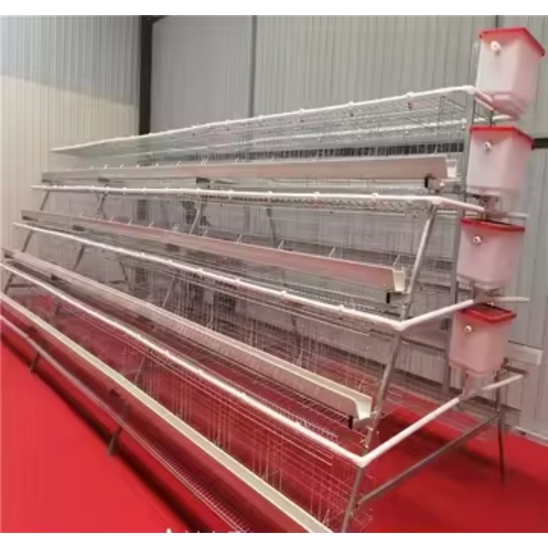   Kandang Ayam New Africa Tipe - Farming Africa ulasan dan harga