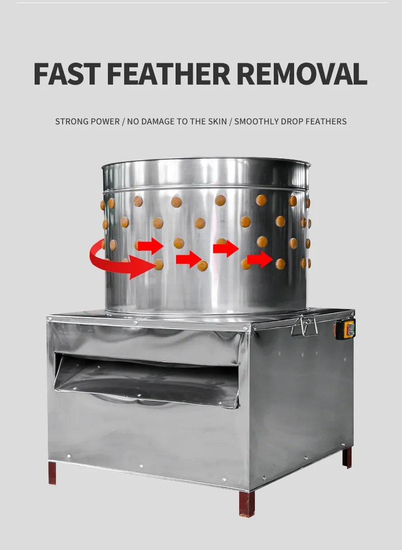 Mesin Pencabut Bulu Ayam HHD U - Chicken Plucker Machine ulasan dan harga