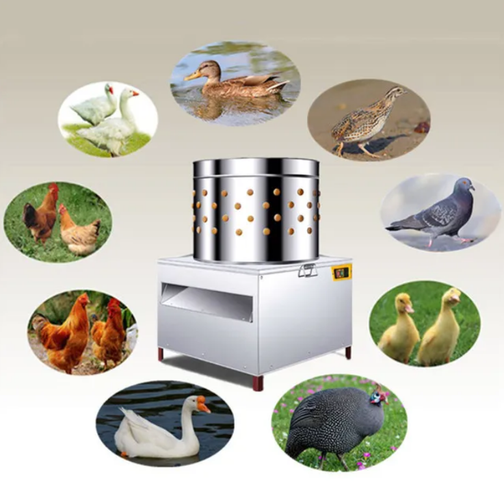 Mesin Pencabut Bulu Ayam Komer - Chicken Plucker Machine ulasan dan harga