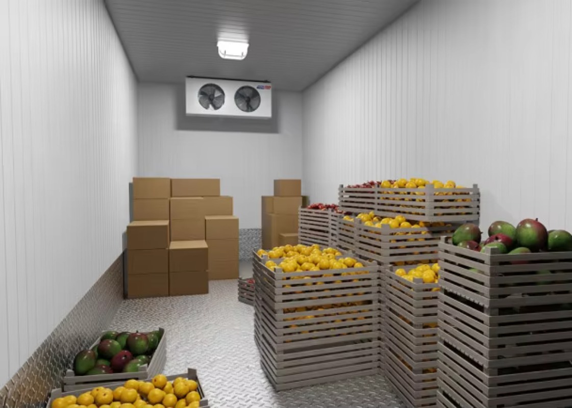 Ruang Pendingin Tenaga Surya u - Farming Africa ulasan dan harga