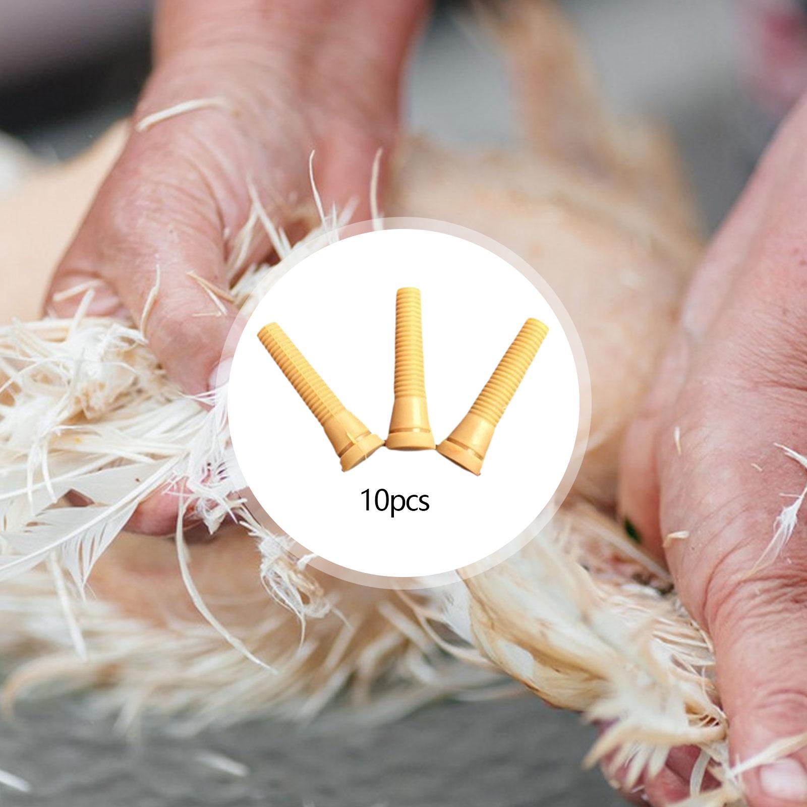 Suku Cadang Mesin Pencabut Bul - Chicken Plucker Machine ulasan dan harga
