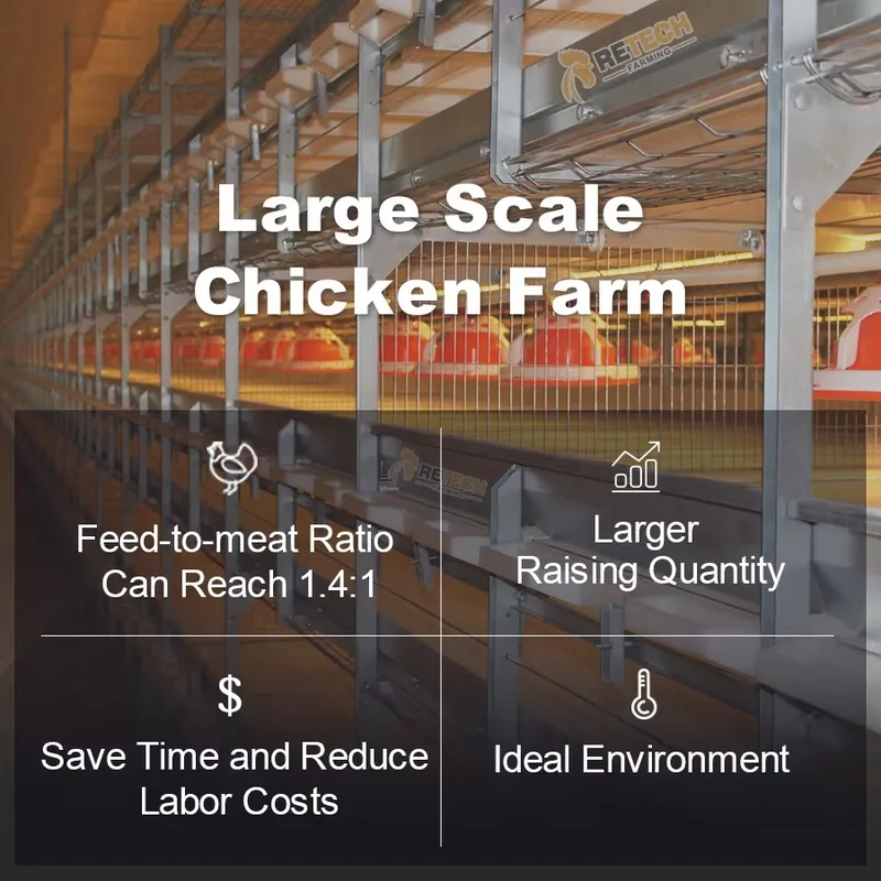 Kandang Ayam Broiler Tipe H Ot - Farming Africa ulasan dan harga
