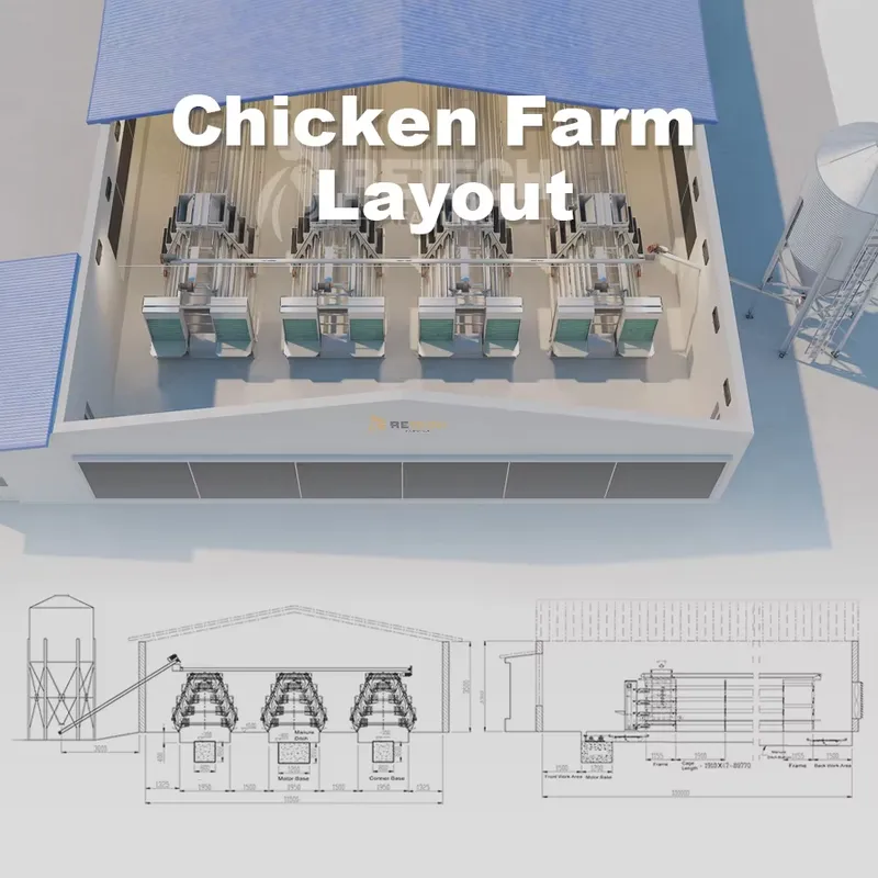 Kandang Ayam Petelur Otomatis  - Farming Africa ulasan dan harga