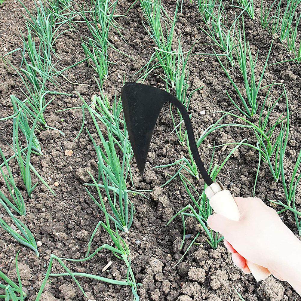Alat pertanian Hoes segitiga F - Farming Agriculture Tools ulasan dan harga