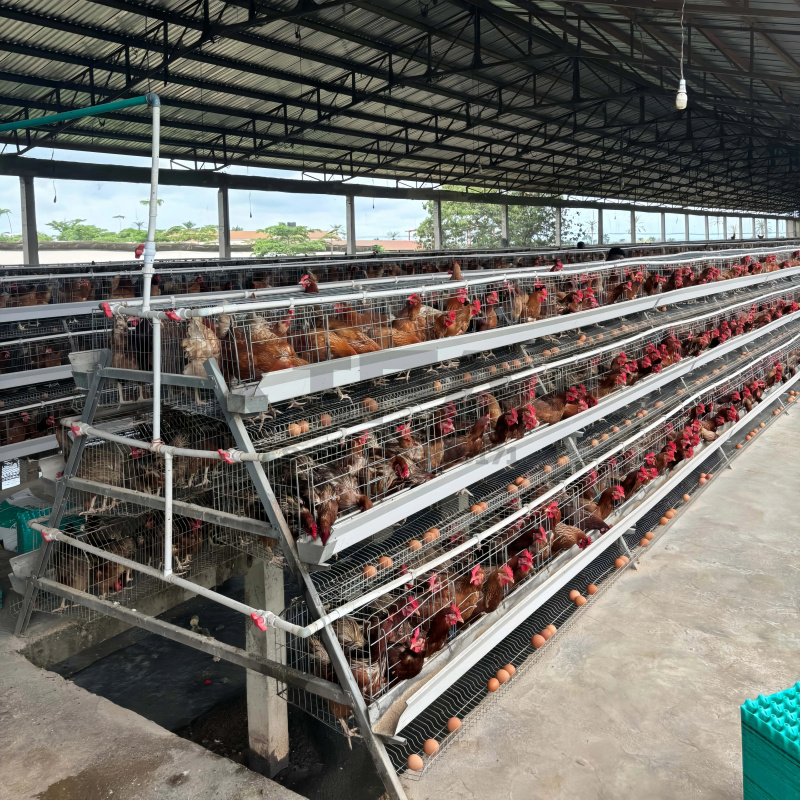 Penjualan Mesin Pertanian di A - Farming Africa ulasan dan harga