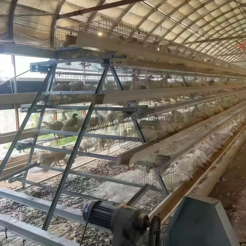 Penjualan Mesin Pertanian di A - Farming Africa ulasan dan harga
