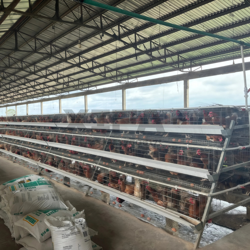 Penjualan Mesin Pertanian di A - Farming Africa ulasan dan harga