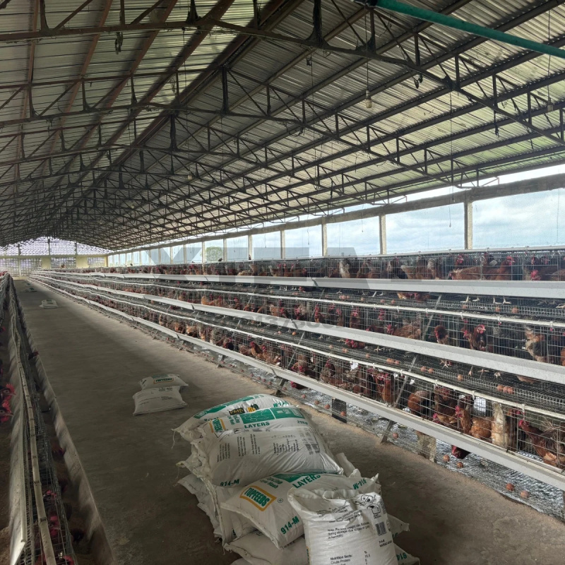 Penjualan Mesin Pertanian di A - Farming Africa ulasan dan harga