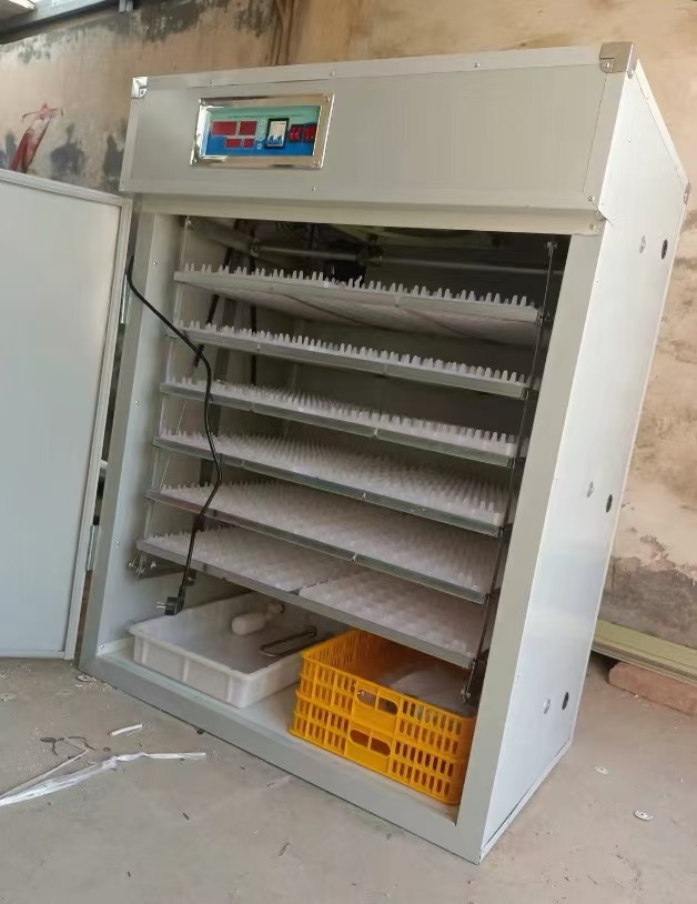 Inkubator Telur Tenaga Surya 1 - Farming Africa ulasan dan harga