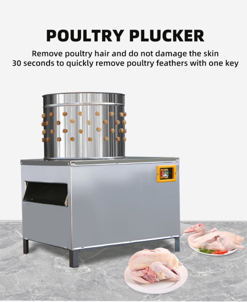 Mesin Pemotong Ayam yang Diset - Chicken Plucker Machine ulasan dan harga