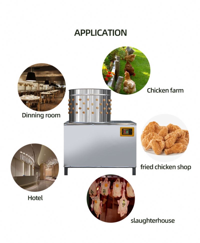 Mesin Pemotong Ayam yang Diset - Chicken Plucker Machine ulasan dan harga